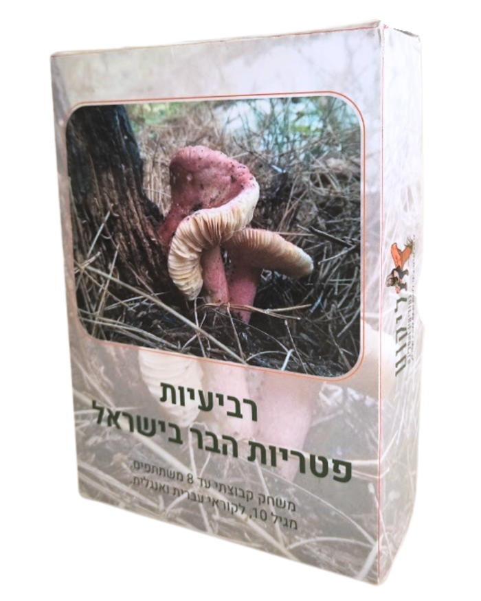 תמונה של - רביעיות פטריות הבר בישראל